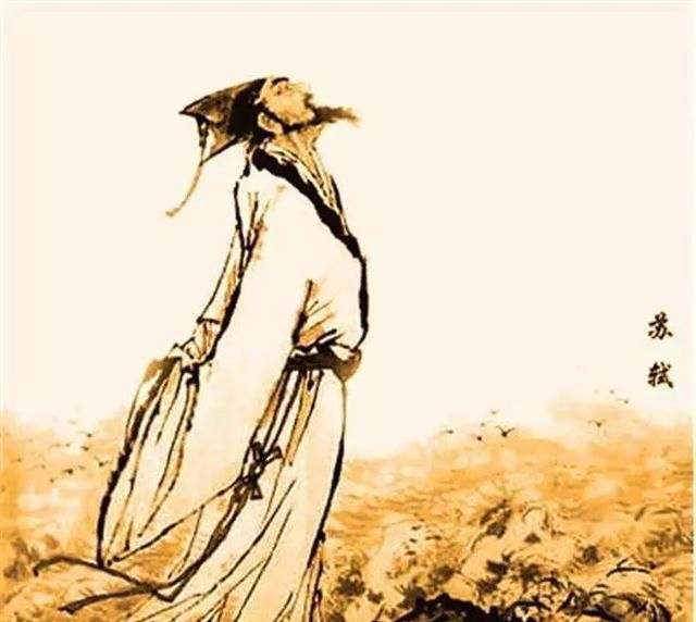 立秋后，送您四大名补之一：芡实