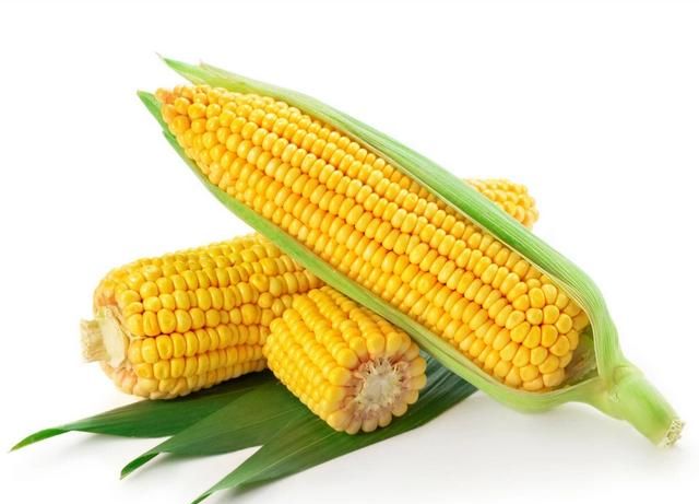 玉米里含多少活性肽图3