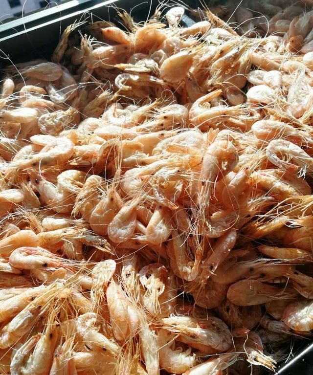 虾米的吃法，虾米的营养价值很高,怎样自己做虾米呢图3