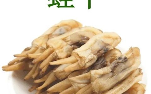 蛏干怎么烧,蛏干怎么烤干