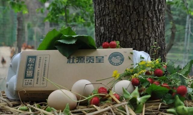 涪江往来人，但爱绵州味~这些绵阳的美食，你pick哪一味？