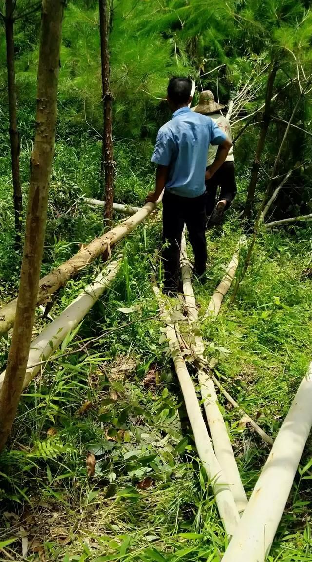 我有一片山,如何成立家庭农场呢图1