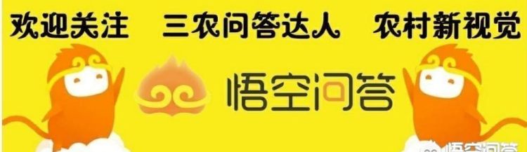 我有一片山,如何成立家庭农场呢图2