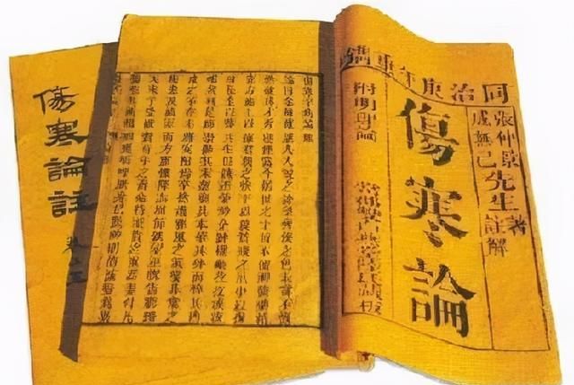 被誉为“四时神药”的茯苓，究竟神在哪里？