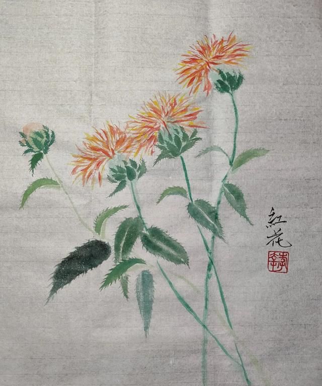 红花和藏红花，一字之差，功效却不同