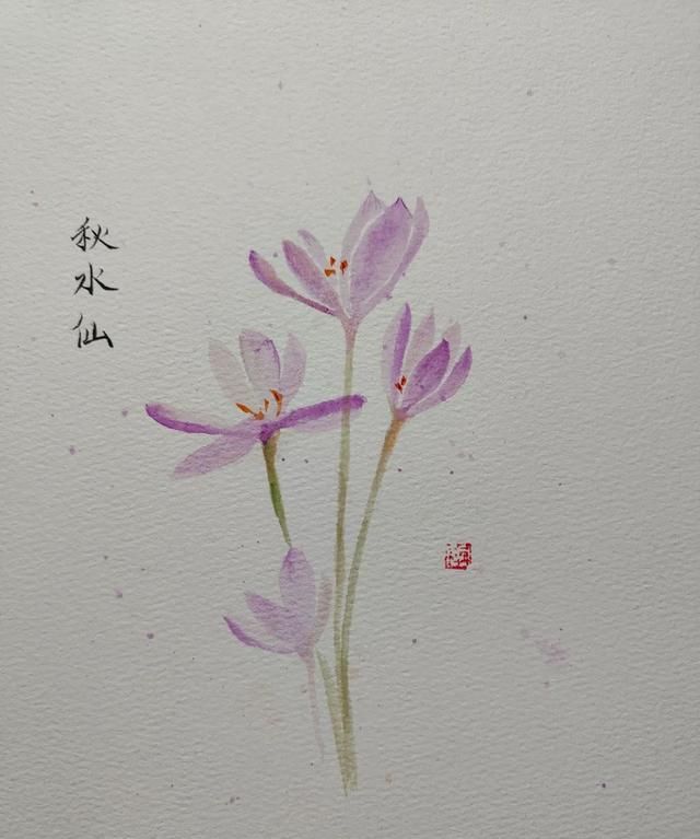 红花和藏红花，一字之差，功效却不同