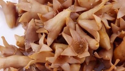 哪些鲜花可以吃(可以吃的鲜花有哪些)图16