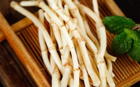 一味中药：鱼腥草，善于清热，可治病毒性肺炎，支气管炎，感冒
