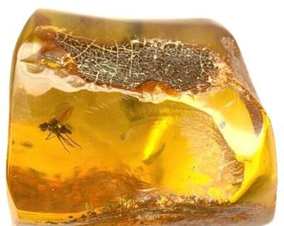 蜜蜡的功效与作用