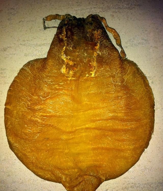 如何选对花胶：花胶从来都不是随便买来一种吃吃就会有效果的