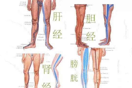刮痧｜刮痧到底能治多少病？（建议收藏）