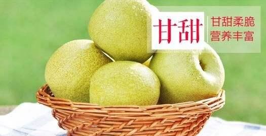 每天一个酥梨对身体有什么好处,最佳酥梨的功效图3