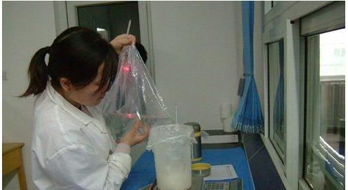 公猪的精子用什么稀释,种公猪精子稀释要哪些材料图3