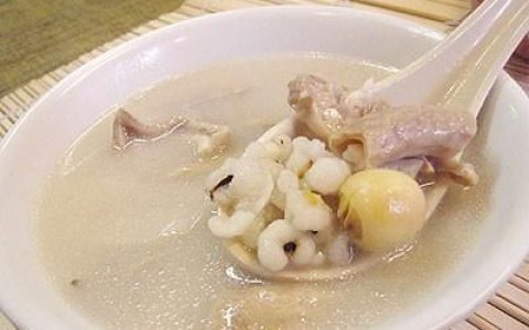 中医四君子汤八珍汤四神汤书籍