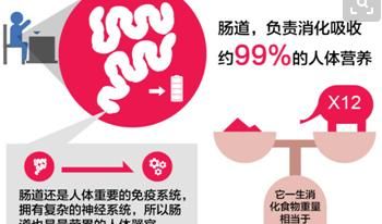 养乐多真的有用吗(养乐多是哪个国家)图5