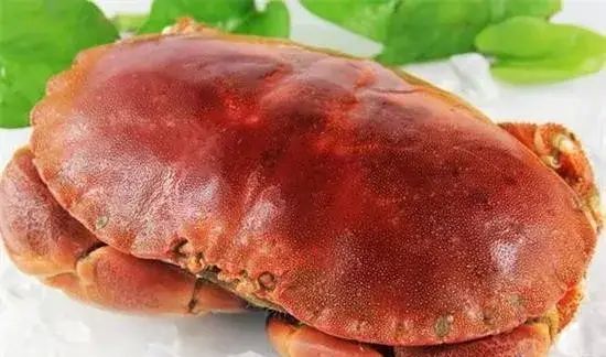 市场常见的102种海鲜，肉质鲜美，营养丰富，你们吃过几种？