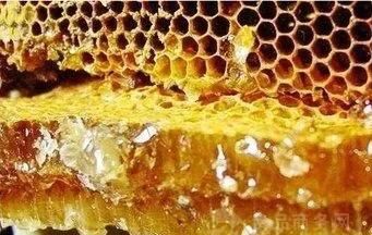 蜂胶是怎么提取的,蜂胶提取紧致工艺图3