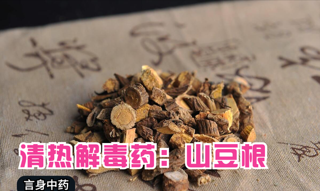 言中药：清热解毒药：山豆根