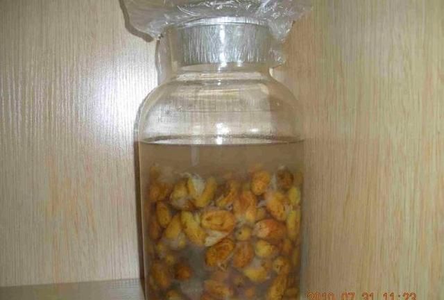 黄皮可以泡酒吗,黄皮泡酒图1