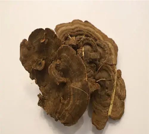 灵芝的五色六类，功效各有所偏重