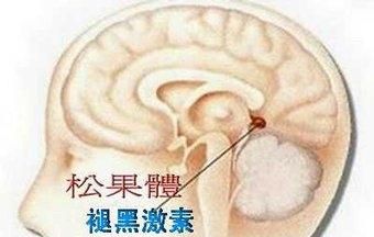 服用褪黑素的好处和坏处分别是什么呢图1