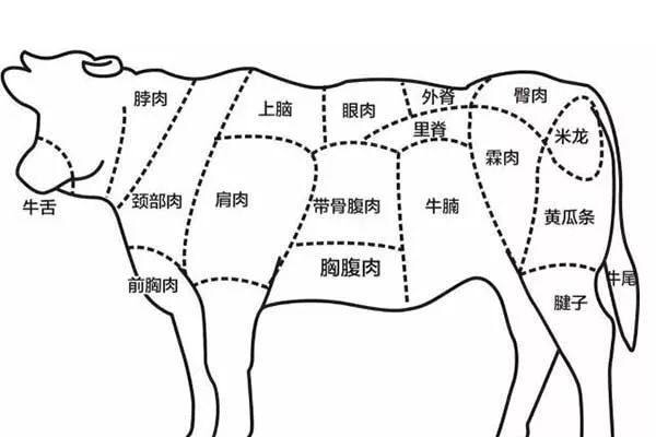 牛肉与铁板的结合，居然能散发出如此美妙的味道，来试试铁板牛肉