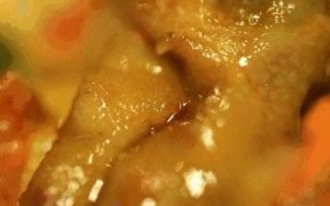 如何自己在家做美味的蟹肉煲呢,自己在家怎么做蟹肉煲