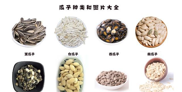坚果类食品有哪些？25种坚果大全你都认识吗？坚果的吃法有哪些