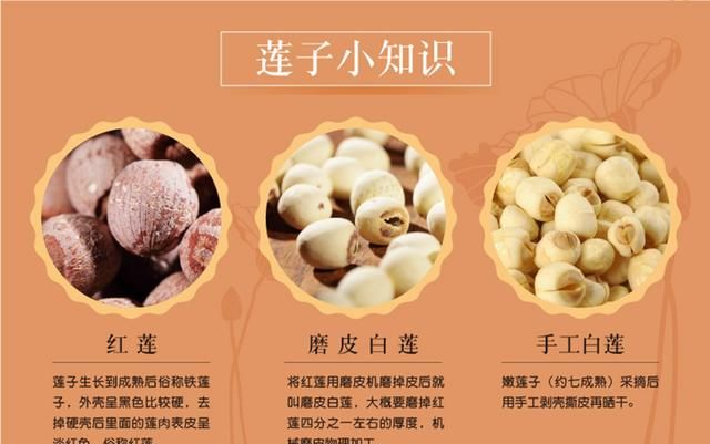 坚果类食品有哪些？25种坚果大全你都认识吗？坚果的吃法有哪些