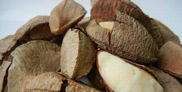 坚果类食品有哪些？25种坚果大全你都认识吗？坚果的吃法有哪些
