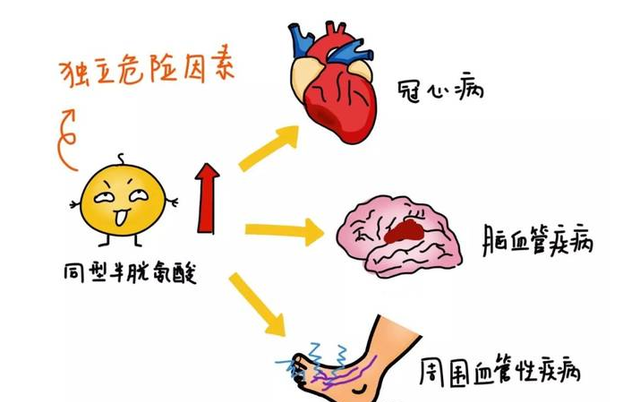 几块钱一瓶的维生素B6，可以调理6种疾病，服用时要注意什么？