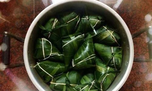 能包粽子的树叶，你认识几种？