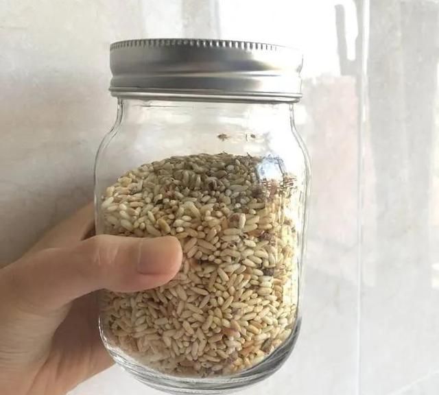 姜米茶——祛脂减肥的神器
