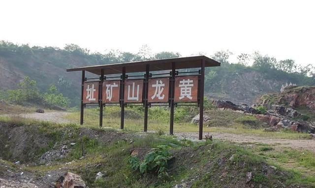 紫砂的价格怎么样(紫砂花盆大全价格)图2