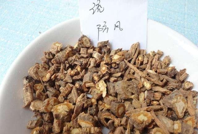 防风根种地里烂了怎么回事儿啊,防风死棵烂根怎样治图9