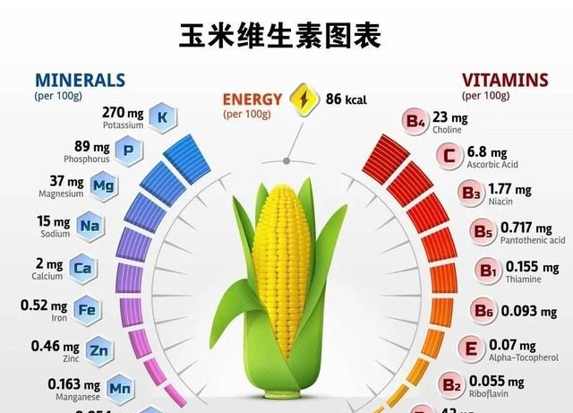 玉米芯有什么用途和功效(玉米芯的用途和功效)图4