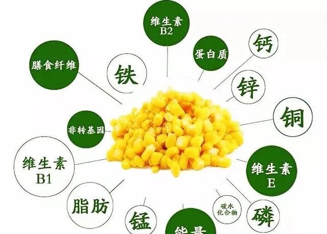 玉米芯有什么用途和功效(玉米芯的用途和功效)图5