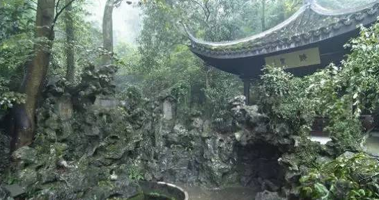 西湖龙井茶的功效
