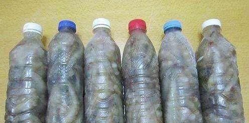 鲜虾千万不要直接冷冻！两个土方法，冻上一年虾肉依旧鲜嫩如初