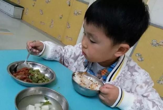 两岁半宝宝吃什么营养又不积食(两岁半宝宝吃什么蔬菜不积食)图5