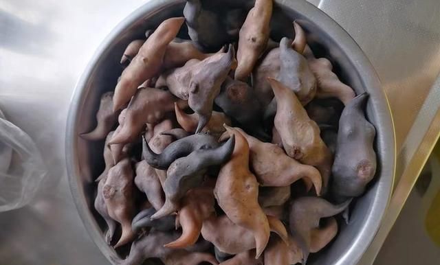 秋天吃核桃栗子不如吃菱角，过一阵就没了，补钙促消化，别不懂吃