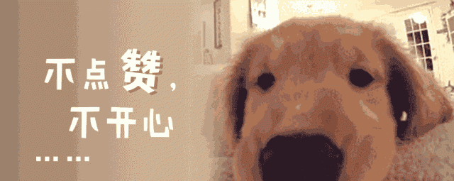硝笨地平为什么分三种图5