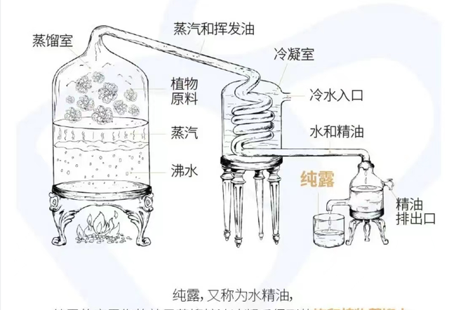 果十三芳香护肤：解密纯露的功效和用法，如何鉴别纯露的好坏