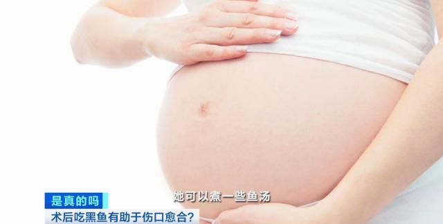 术后吃黑鱼有助于伤口愈合？原来是真的→