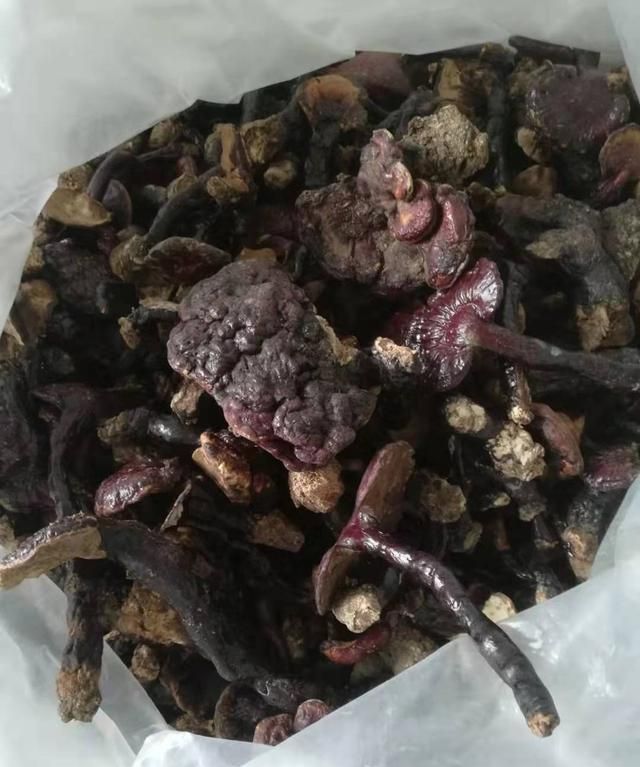 灵芝草怎么食用(灵芝草功效与作用及食用方法)图3