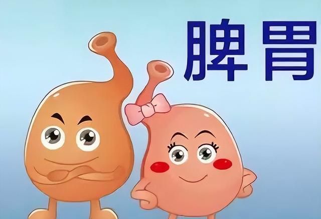 脾湿热烧心，脾湿寒腹泻，送你两个中成药，散寒湿清湿热