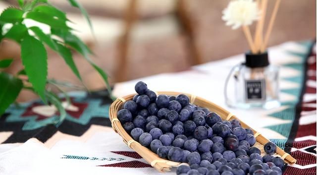 高颜值、高营养、高功效的“三高”水果——蓝莓