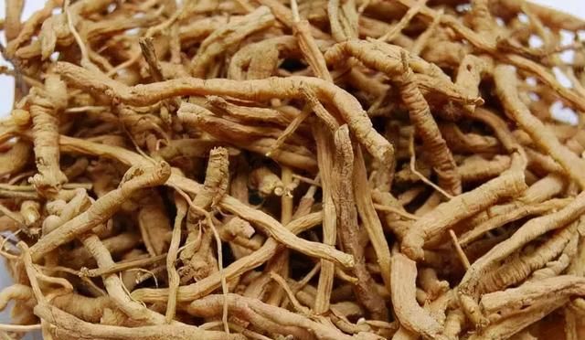 「肾说新语」“补气之王”黄芪，肾病的一把利斧！肾病患者如何使用黄芪？
