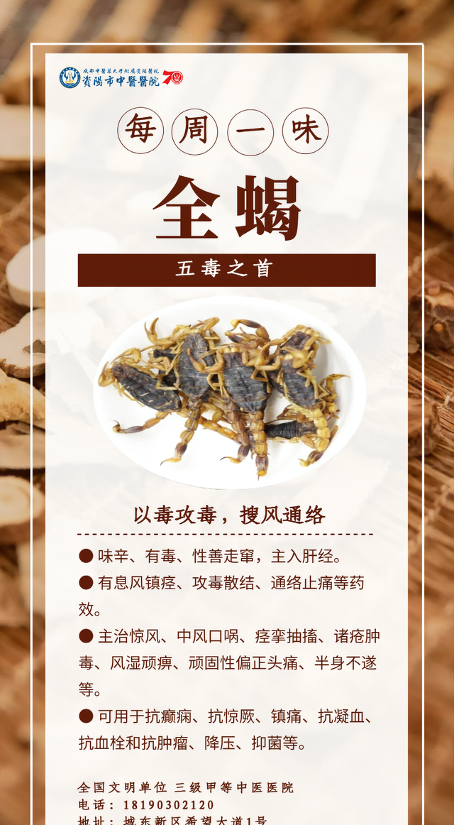 「每周一味」全蝎：以毒攻毒的妙药
