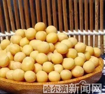 大豆大米大瓜子，还有汉麻和松子丨黑龙江去年这些“特产”新列入国家保护